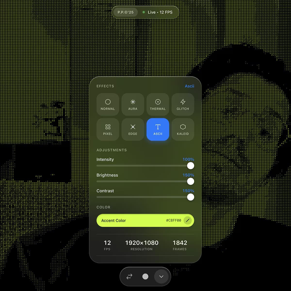 Camera Playground, Turning the webcam into a visual instrument