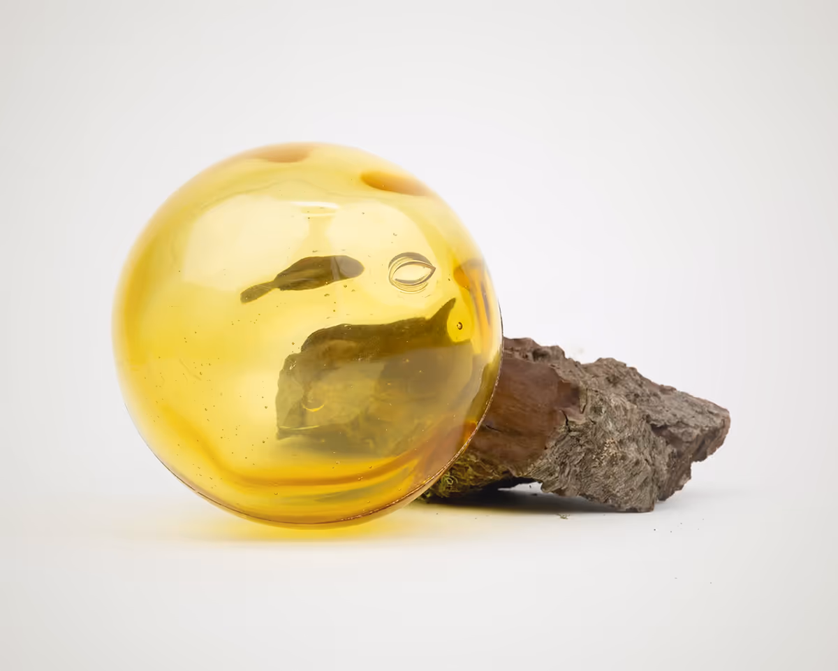 Pine Glass, Carbon-negative glass made from pine resin