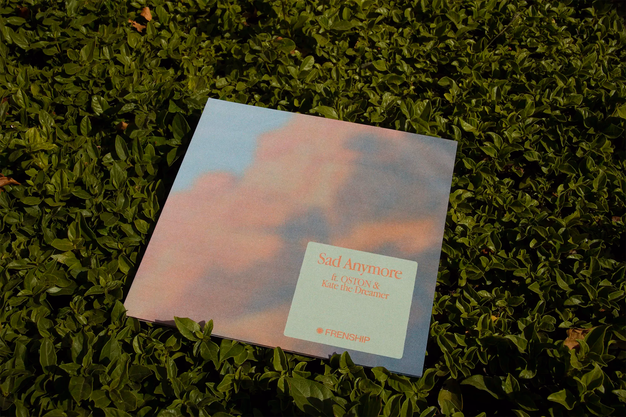 Frenship Band, Album and merch design